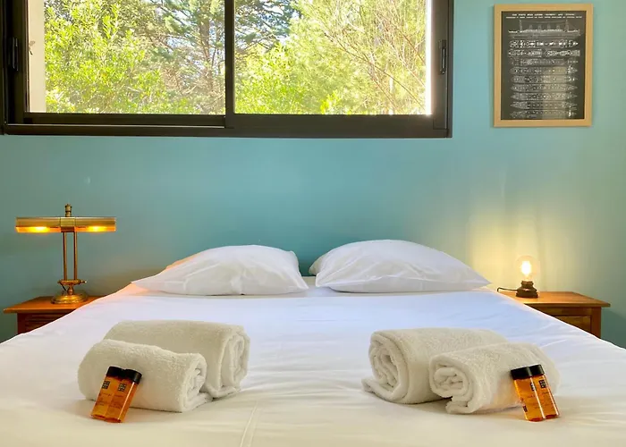 Villa Villa des Dunes Spa 600m van strand Rolstoeltoegankelijk 8 pers *